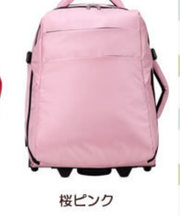 ピンクのキャリーバッグ(リュックも可)の画像