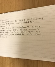 透明のファイルです。ルーズリーフが3枚の画像