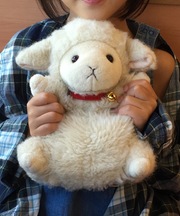 ひつじぬいぐるみ枚方の画像
