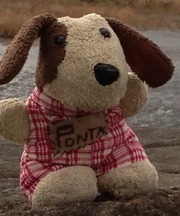 犬のぬいぐるみの画像