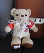 クマのぬいぐるみ（Karuizawaという文字が入った巾着袋に入っていました）の画像