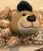 スージーズー くまのパスケースの画像