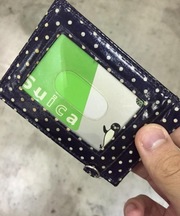 黒系の水玉模様柄のパスケースの画像