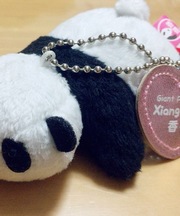 パンダのキーホルダーの画像