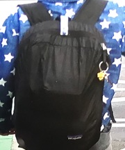 黒いパタゴニアのリュックの画像