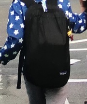 黒いパタゴニアのリュックの画像