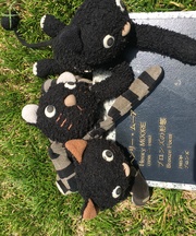 ねこのぬいぐるみ 2匹の画像