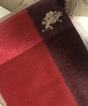 マフラーの画像