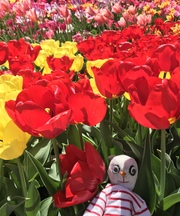 自作のパンダのぬいぐるみの画像