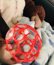 ひざ掛け毛布の画像