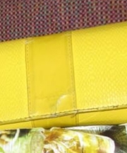 黄色の長財布の画像