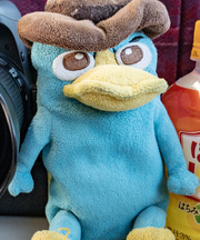 カモノハシペリー パスケースの画像