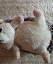 ハリネズミのぬいぐるみの画像
