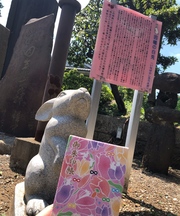 黒いニューヨーク・ヤンキースのリュックの画像