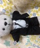 狡噛さんくまめいと(グレー)の画像