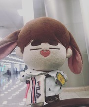 SHINeeオニュのぬいぐるみ ミニマルズの画像