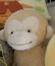 小さいサルのぬいぐるみの画像