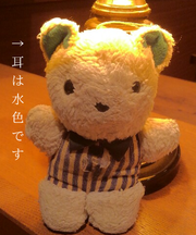 白くま?のぬいぐるみ手のひらサイズ「BOBO」のタグの画像