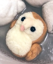 フクロウのぬいぐるみ 7センチくらいの画像
