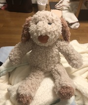 白樺湖、犬のぬいぐるみの画像