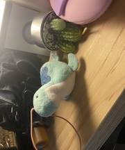 水色の小さな恐竜の画像