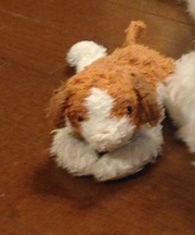 犬のぬいぐるみの画像