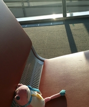 ピンク色のカエルのぬいぐるみの画像