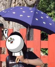 紺色に白いツバメ柄の日傘の画像